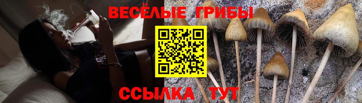 Псилоцибиновые грибы мухоморы Скопин