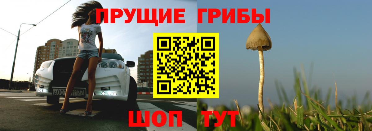 Псилоцибиновые грибы ЛСД  Галлюциногенные грибы GOLDEN TEACHER  дарнет шоп  Вход с VPN  Скопин 